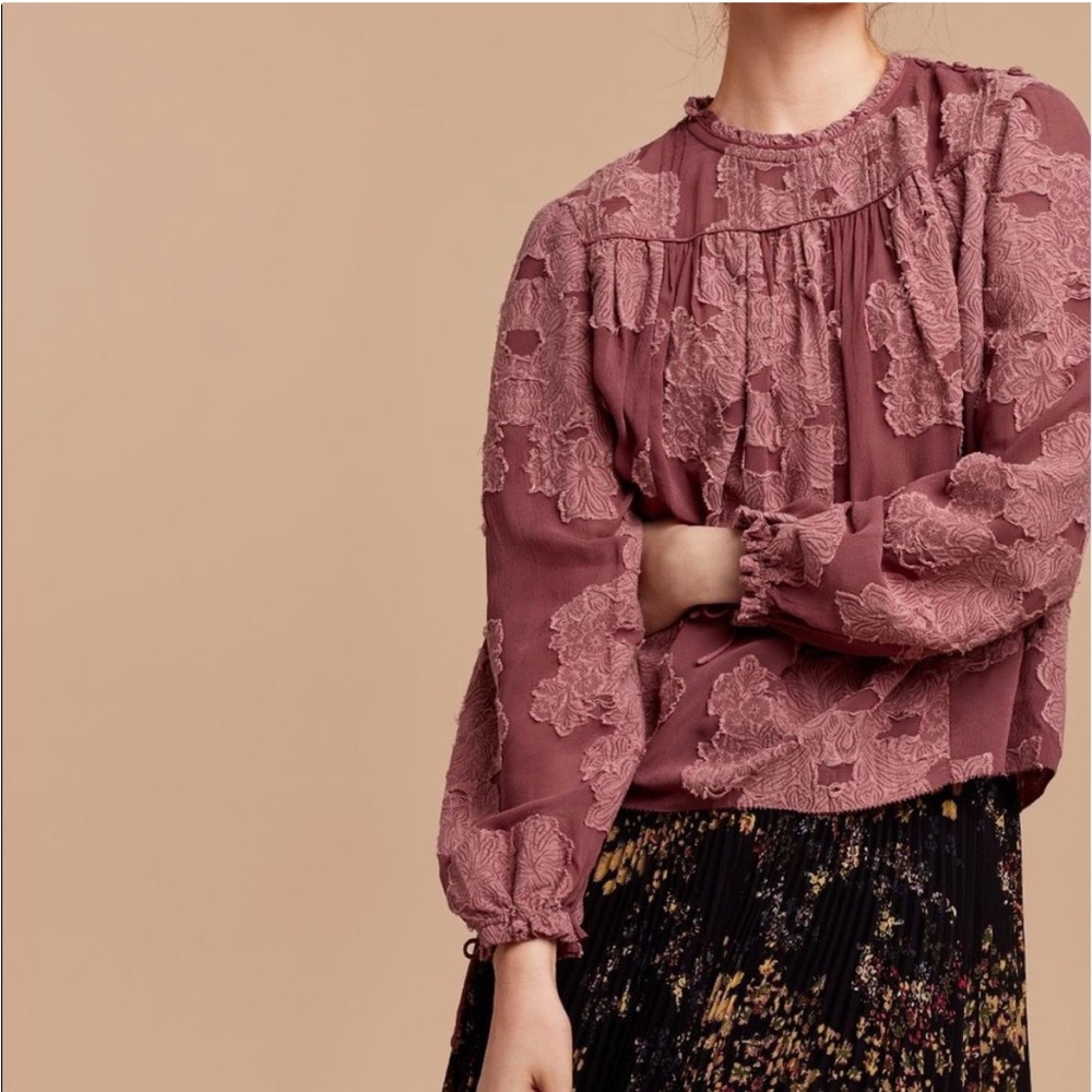 ARITZIA Wilfred Lourdes Mauve Pink Boho Victorian Floral Appliqué Swing Blouse